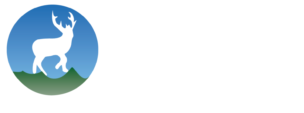 DPS Logo